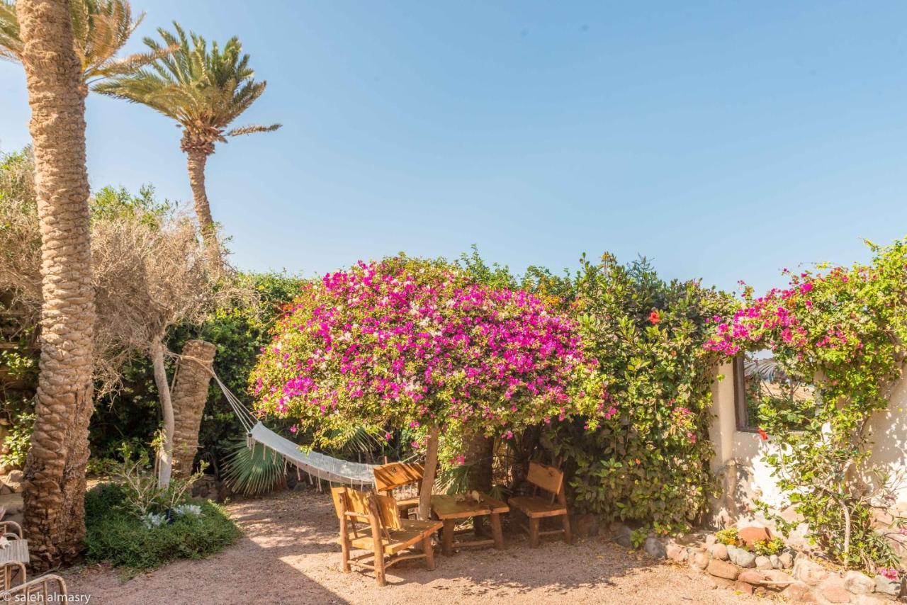 Beit Theresa Dahab Dış mekan fotoğraf
