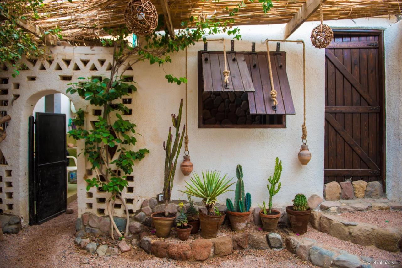 Beit Theresa Dahab Dış mekan fotoğraf