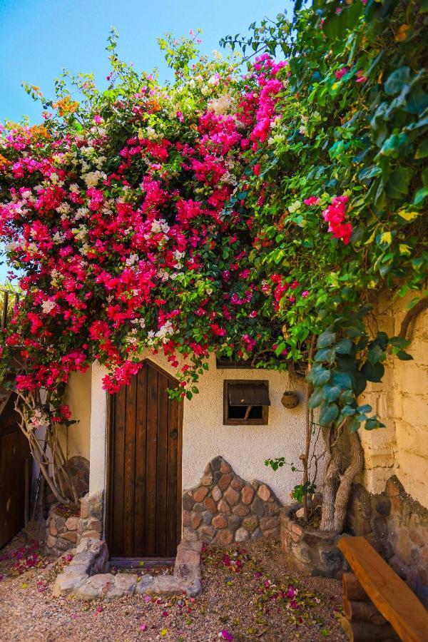 Beit Theresa Dahab Dış mekan fotoğraf