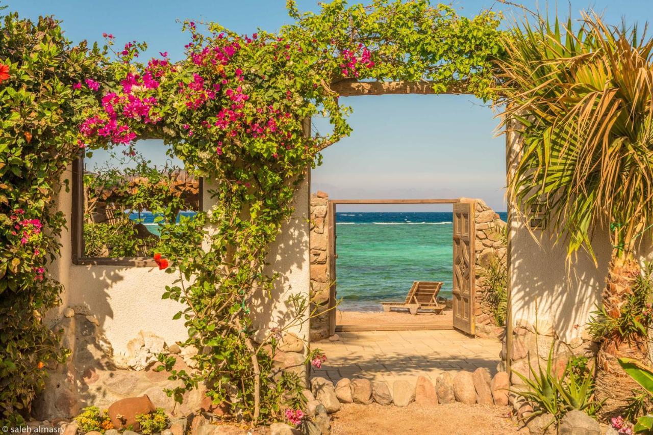 Beit Theresa Dahab Dış mekan fotoğraf